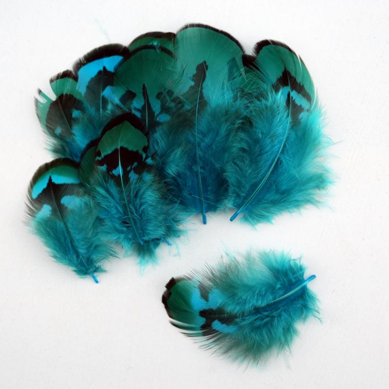 Wedding Supply In Bulk - Natuurlijke DIY Fazantenveren Meerblauw Geverfd 3-8cm