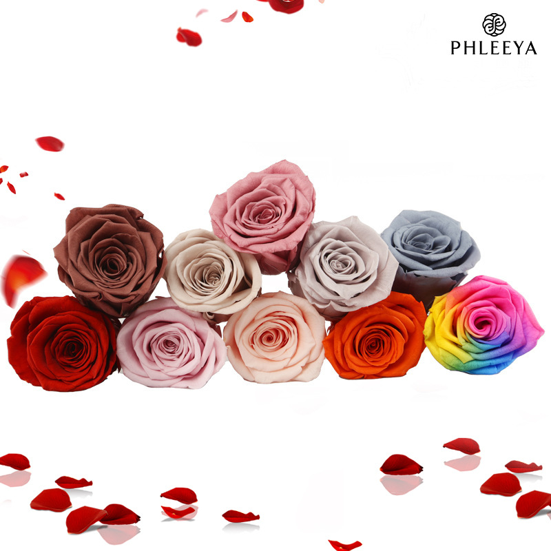 6 stuks eeuwige rozenbloemhoof - Wedding Supply In Bulk recensie en prijs